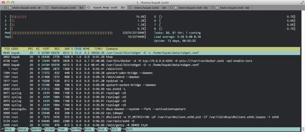 Htop command output