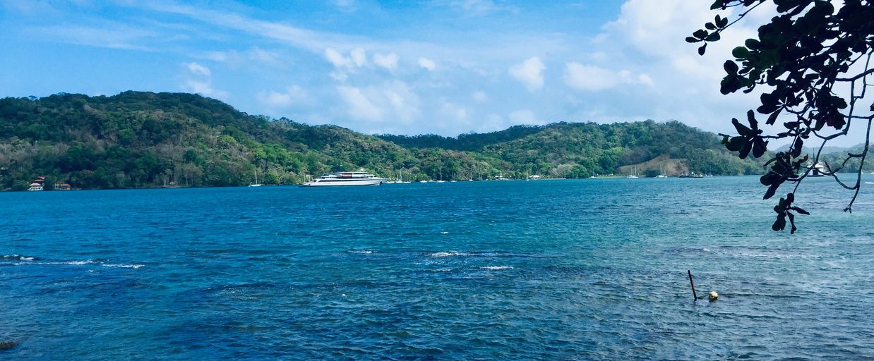 Notes 202608