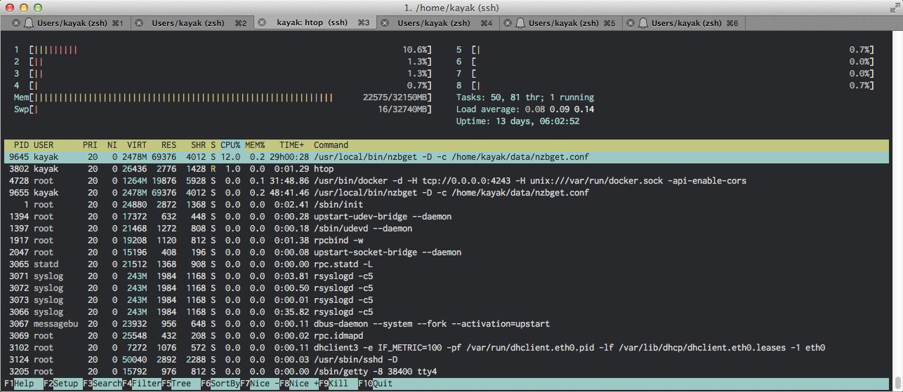 Htop command output