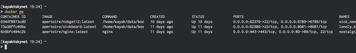 Docker ps command output