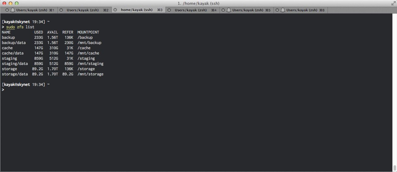 Zfs list command output