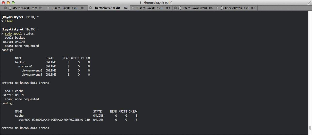 Zfs pool status