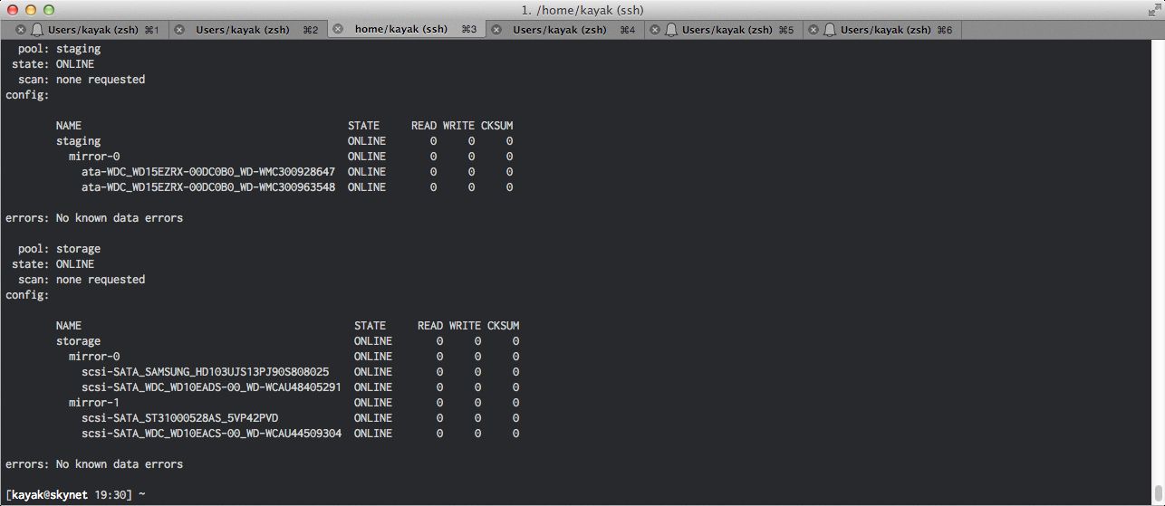 Zfs pool status continued
